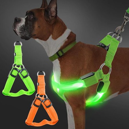 Hundesele, Lysende, 2 LED'er, Genopladelig, 3 Justerbare Tilstande, Reflekterende Lyssele til Hunde, Aftenture, M), Grøn