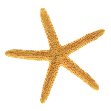 Fish Tank Figurines Levande färg Aquarium Figurines Miniatyr Or