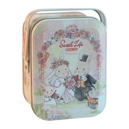 Plåtlådor för Godis Små Saker Härlig Mode Portabel Sockerlåda Partygåva