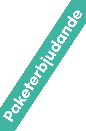 Kjøp Satisfyer Pro 2 + Satisfyer Mini Vibe - Pakketilbud | God pris