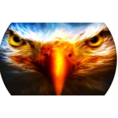 Mobilhållare i fräckt örn motiv "Eagle" - Pop-stand -