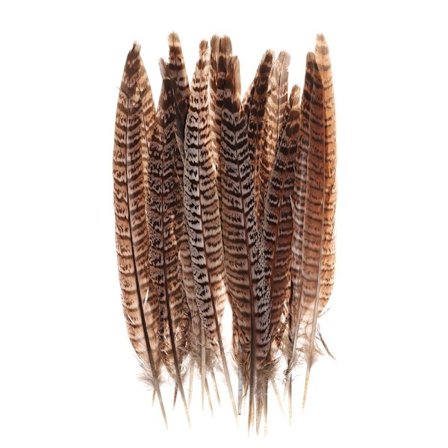 Fjädrar Svansfjädrar 20-25CM 20-25CM 20-25cm