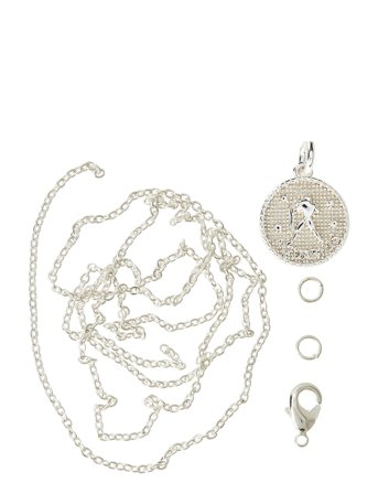 Me & My Box Zodiac Coin Pendant And Chain Set, Aquarius - Silver - ONE SIZE