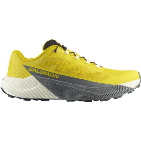 Salomon - Trailrunning-Schuhe Herren Pulsar - Incaberry / Vanilla Ice / Sedona Sage - 42