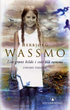 Lite grønt bilde i stor blå ramme - Bok av Herbjørg Wassmo - Hardback