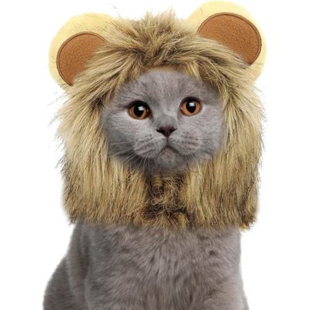Pet Halloween Kostyme Katt Løve Mane Parykk Halloween Kostyme Valp Løve Hatt