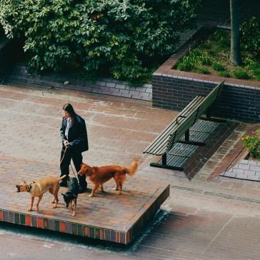 Way back home SAINT DX