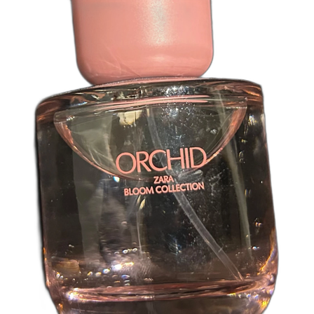Zara Orchid Bloom Collection Parfym