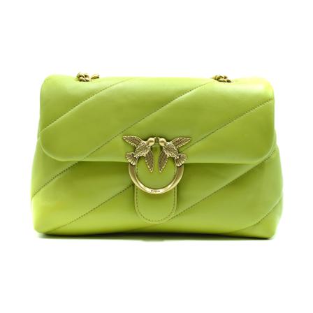 Pinko, Cross Body Bags Groen, Dames, Maat:ONE Size