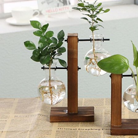 Puinen kehys lasimaljakko istutuskone työpöydän vesiviljelykasvi Bonsai-kukka ruukku