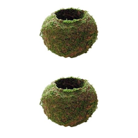 2stk Ball Mose Blomsterpotter Plantekar Bonsai Hage Dekor