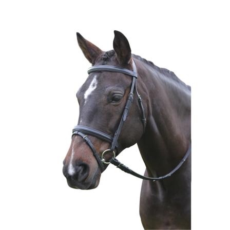 Kincade Leather Flash Bridle Ii Helbrun
