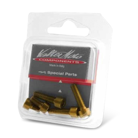 Komplet Śrub do Korka Wlewu Valter Moto - Kawasaki Ninja 300 ABS 2013-2016