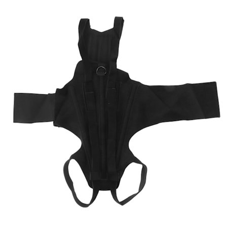 Hunderygstøtte Rygkirurgi Diskusprolaps Glidning af Diskus Kæledyrs Rygstøtte til Hunde Gigt M