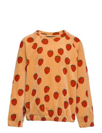 Strawberries Velour Aop Sweatshirt Svetari Collegepaita Monivärinen/Kuvioitu Mini Rodini