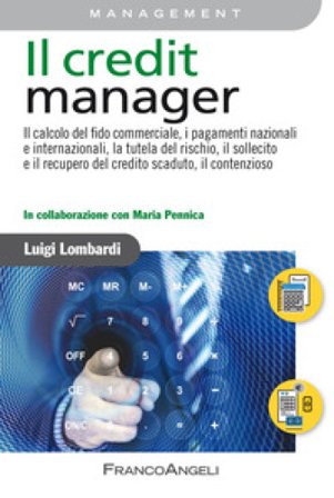 Il credit manager. Il calcolo del fido commerciale, i pagamenti nazionali e internazionali, la tutela del rischio, il sollecito e il recupero del 