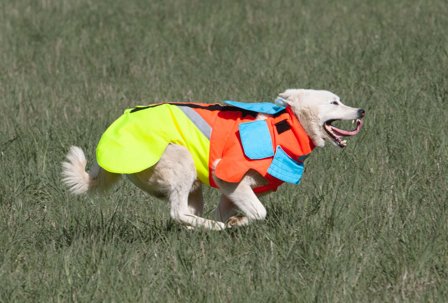 Mikael Tham Tuskproof Boar v.5 Orange XL