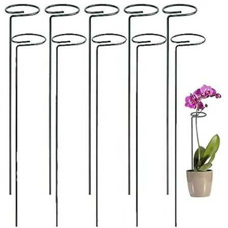 Pakke med 10 Trellis Indendørs Planter | Rundt Plantestøtte til Høje Planter og Blomster | Monstera Trellis til Haven | Plantestøtter til Orkideer, 