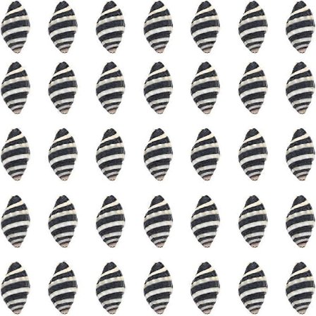 1 æske 50 stk. spiralskaller, små spiralsøskaller, vasefyld, zebra-mønster, Hawaii-stil, hav, ocean, strand, sort, hvid konkylie, uboret, uden hul, 