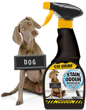 CSI URINE Dog Spray 500 ml - CSI URINE
