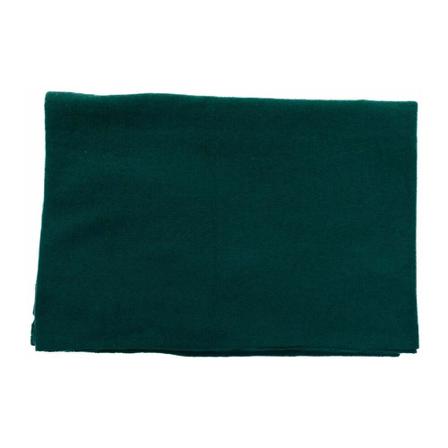Absolut Cashmere, Winter Scarves Groen, Dames, Maat:ONE Size