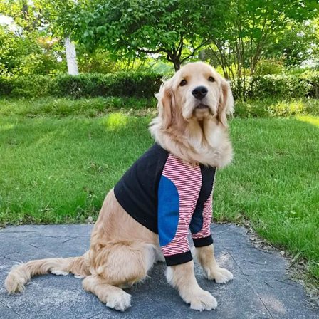 Hundeklær Pullover Klær 4XL