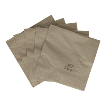 Servett Brun Eco 2-Lag 24x24cm
