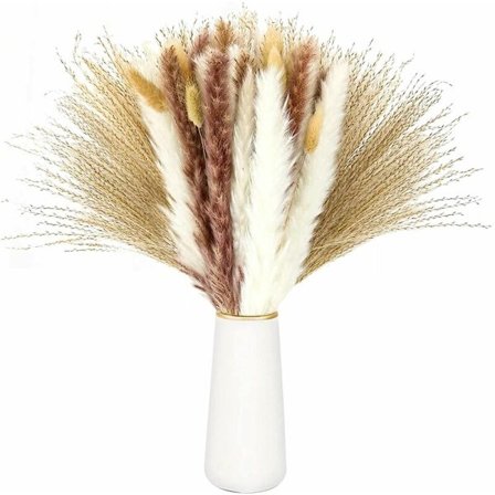 Pampasgress tørkede blomsterplanter tørkede blomster til blomsteroppsatser bryllupsdekorasjon