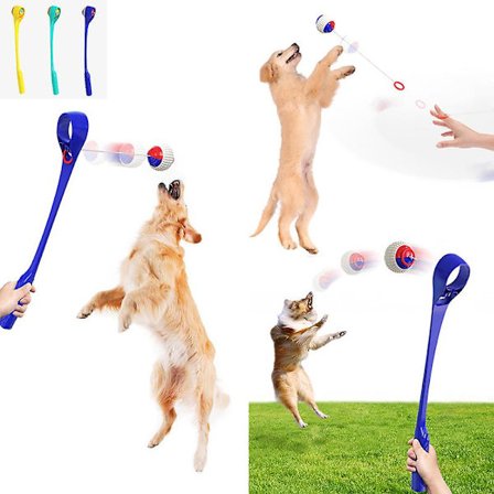 Hamster trælabyrinttunnel kæledyrsaktivitetslegetøj til mus Dværghamster