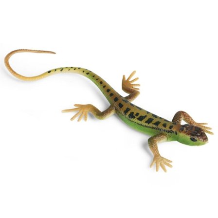 Kunstig Firben Fade-Resistant Levende Farverige Krybdyr Firben Legetøj Festforsyninger [DmS]