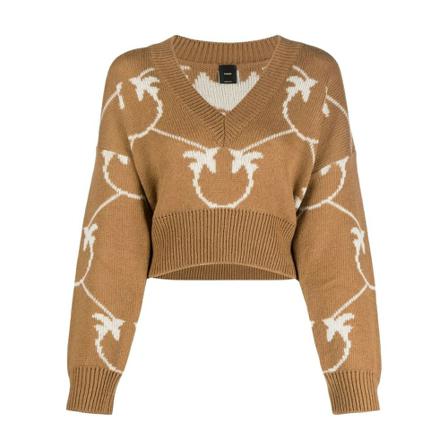 Pinko Mirari Cropped V-Neck Trui , Bruin , Dames , Maat: XS