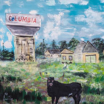 Sandhills Toro Y Moi