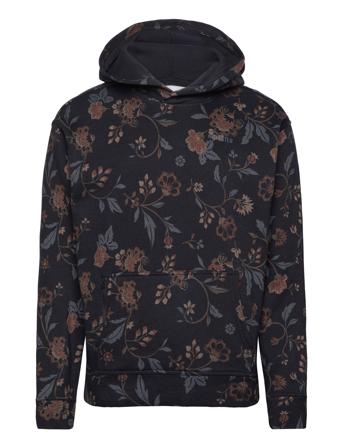 Hco. Guys Sweatshirts Hollister Black