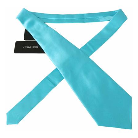 Dolce & Gabbana Riems , Blauw , Heren , Maat: ONE Size Riemen
