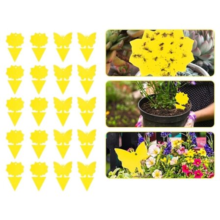 60-pack Fluefangere - Fluefelle - Søt og effektiv