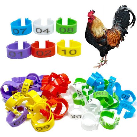 100 st Kycklingfotringar Justerbar Storlek Fjäderfä Ben Nummer Tag Spänne