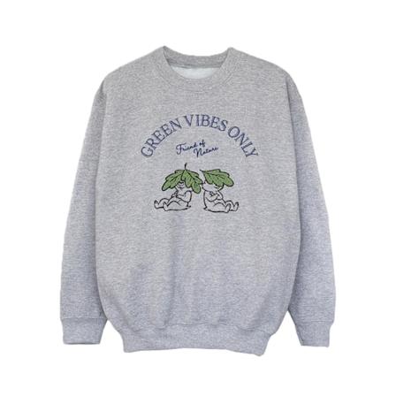Disney Girls Chip ́n Dale Green Vibes Only Sweatshirt 3-4 år Sports Grey 3-4 Years