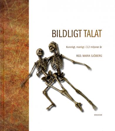 Bildligt talat : kvinnligt, manligt i 3,2 miljoner år - Bok av Lena Larsson Lovén, Annika Bünz, m.fl. - Inbunden