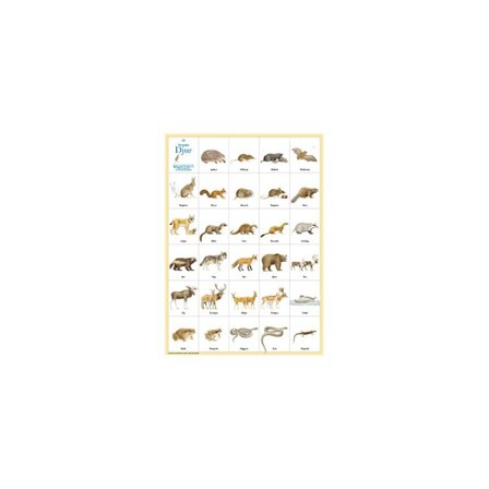 Svenska Djur-plakat - Hjelm Förlag