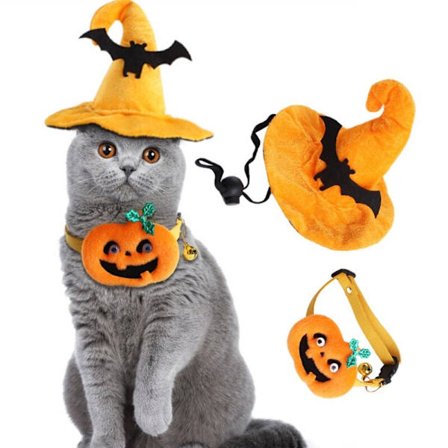 Halloween Pumpa Hatt Katt Hund Party Dress Up orange liten