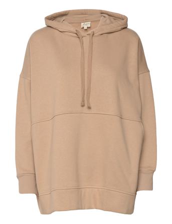 Leciapw Sw Beige Part Two