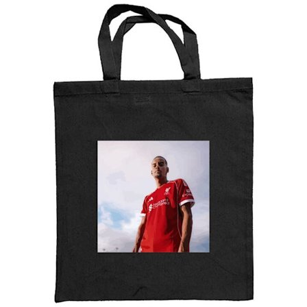 Stoffpose Alexander Isak plakat Newcastle United spiss Sveriges landslag fotball Premier League nummer 14 kunst