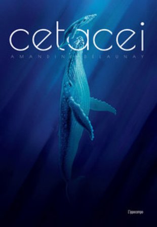 Cetacei. Album scoperte Amandine Delaunay