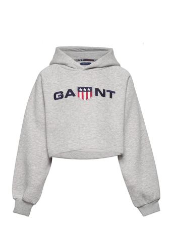 D1. Retro Shield Hoodie Grey GANT