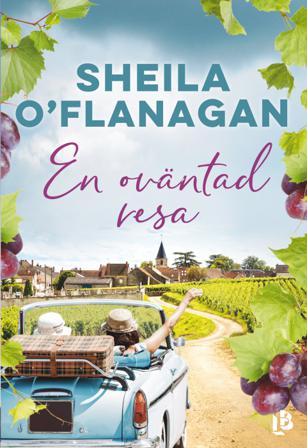 En oväntad resa - Bok av Sheila O ́Flanagan - Danskt band
