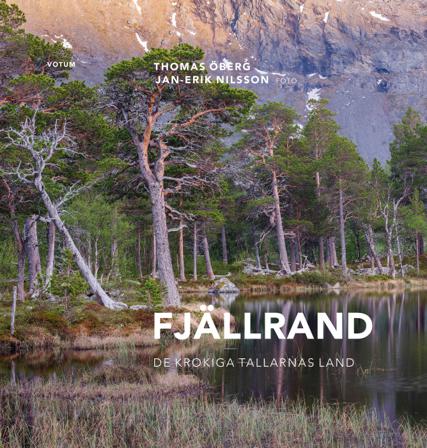 Fjällrand : de krokiga tallarnas land - Bok av Thomas Öberg - Inbunden