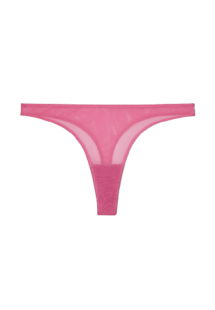 Understatement Mesh Thong Trosor Dam Rosa S