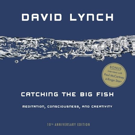 Catching the Big Fish 10th Anniversary 9780143130147