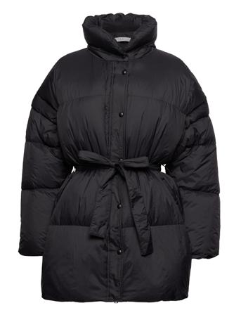 Wp05Querra Black IRO