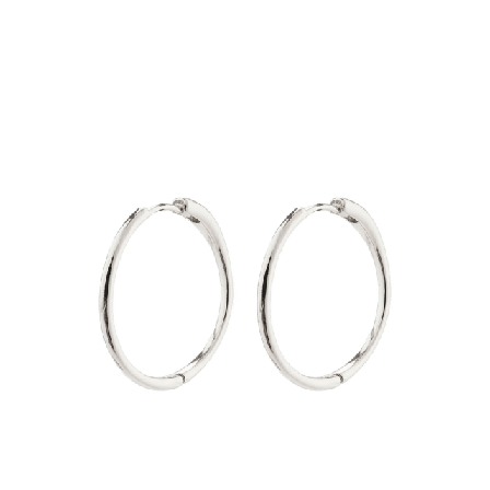 Pilgrim Eanna Earrings Smycken & klockor Dam Silver ONESIZE